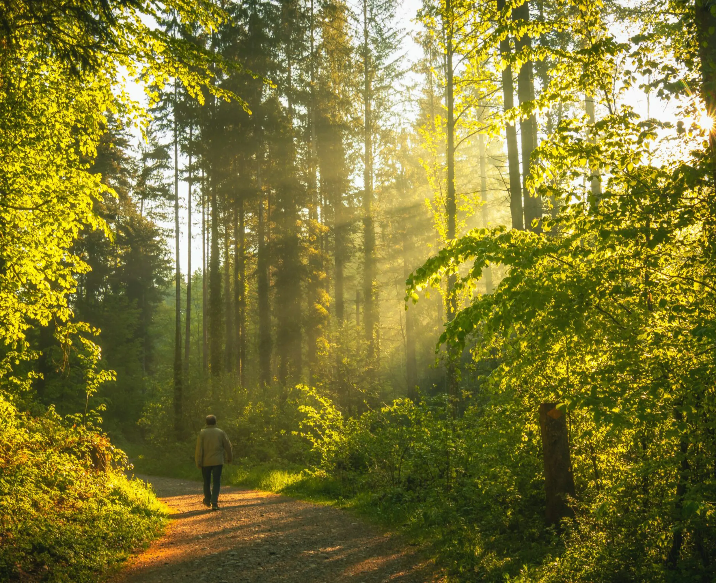 Nature Walks & Chikki Trails